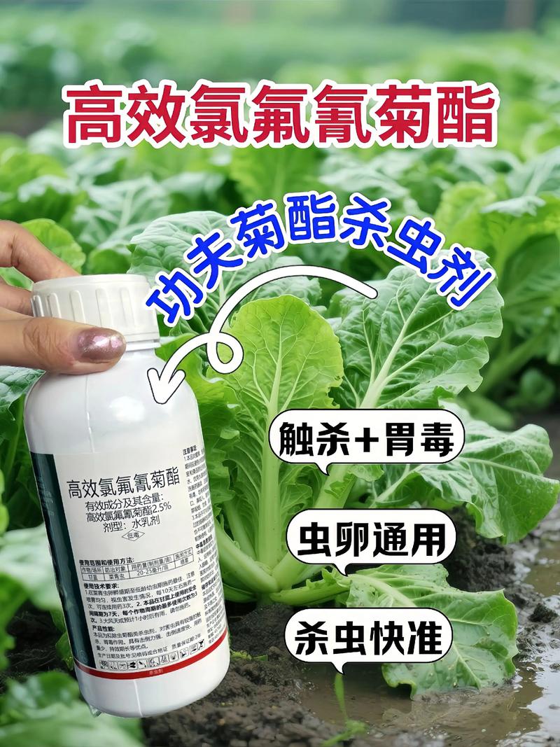 云南代生中心:农药对供卵代生妈妈的危害